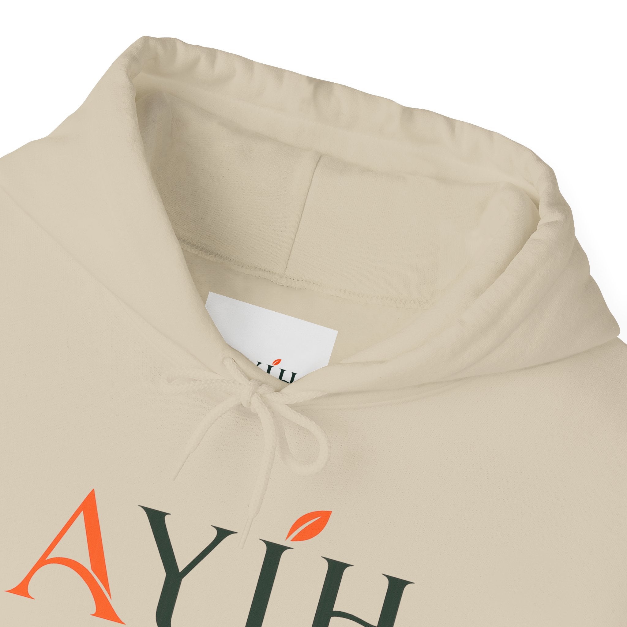 AYIH Logo Hoodie — Feel Better, Live Better Branded Pullover