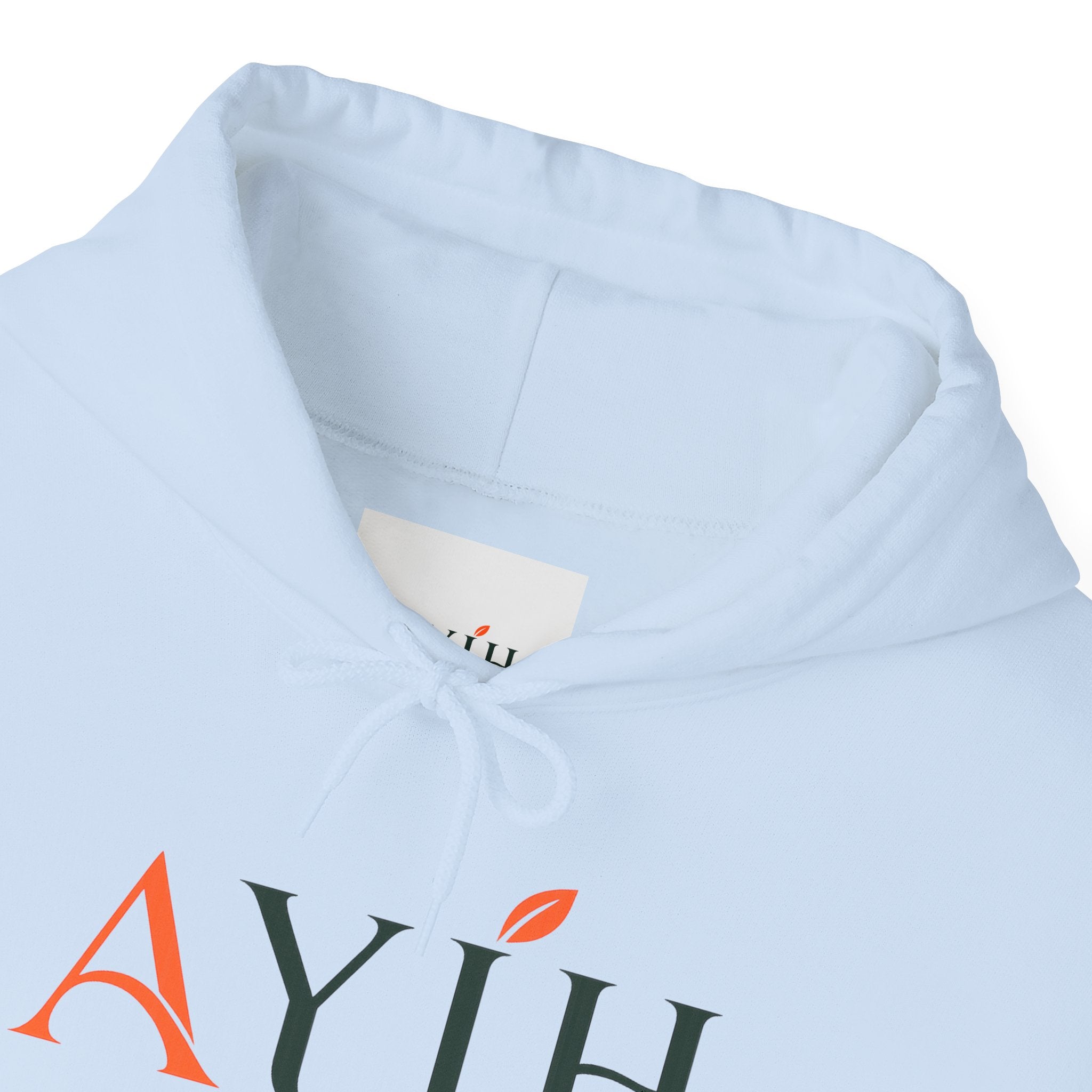 AYIH Logo Hoodie — Feel Better, Live Better Branded Pullover