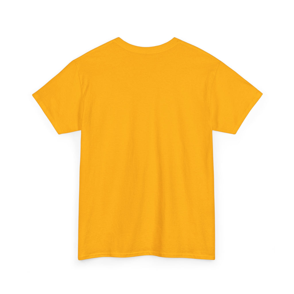 Unisex Adult AYIH Logo - Heavy Cotton Tee