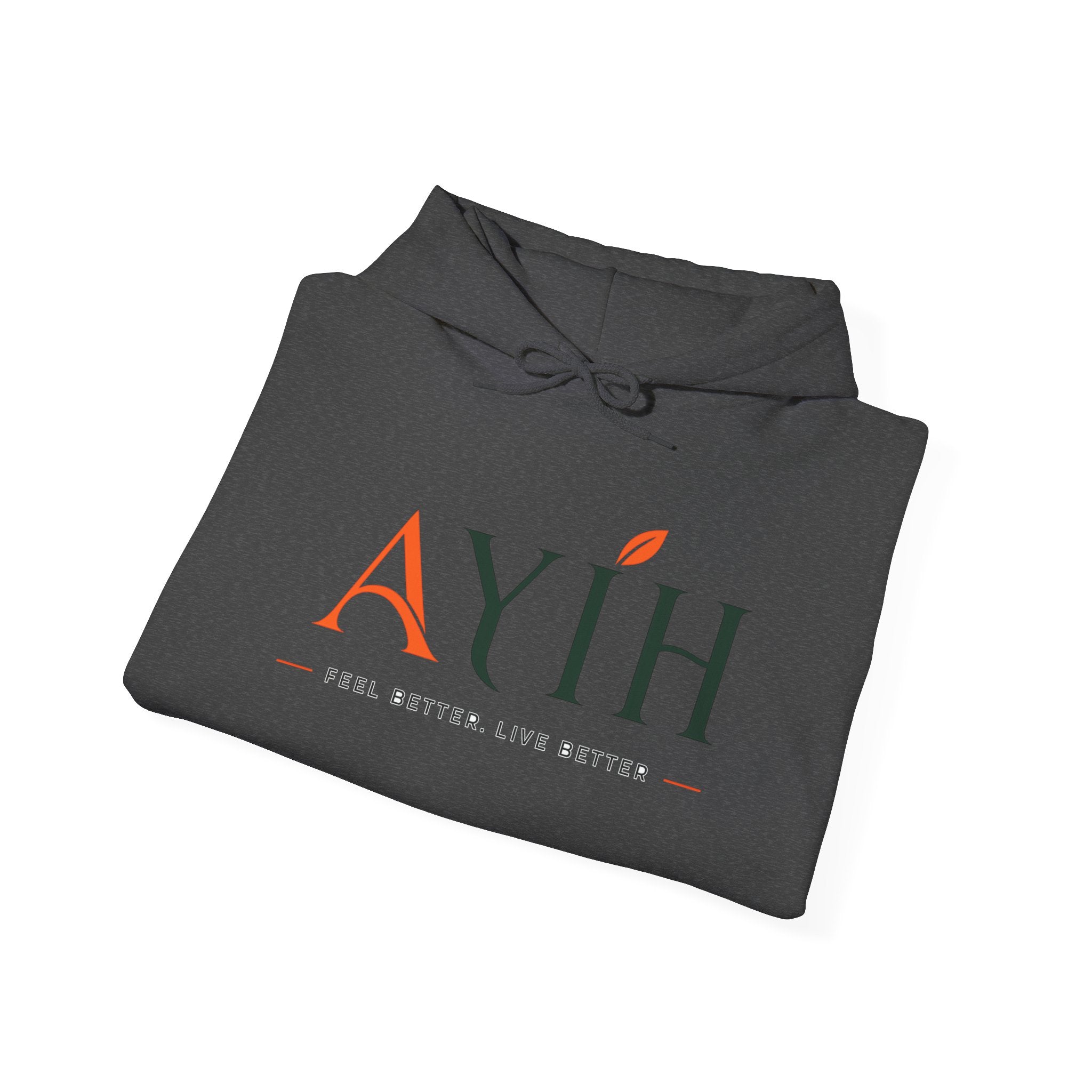AYIH Logo Hoodie — Feel Better, Live Better Branded Pullover