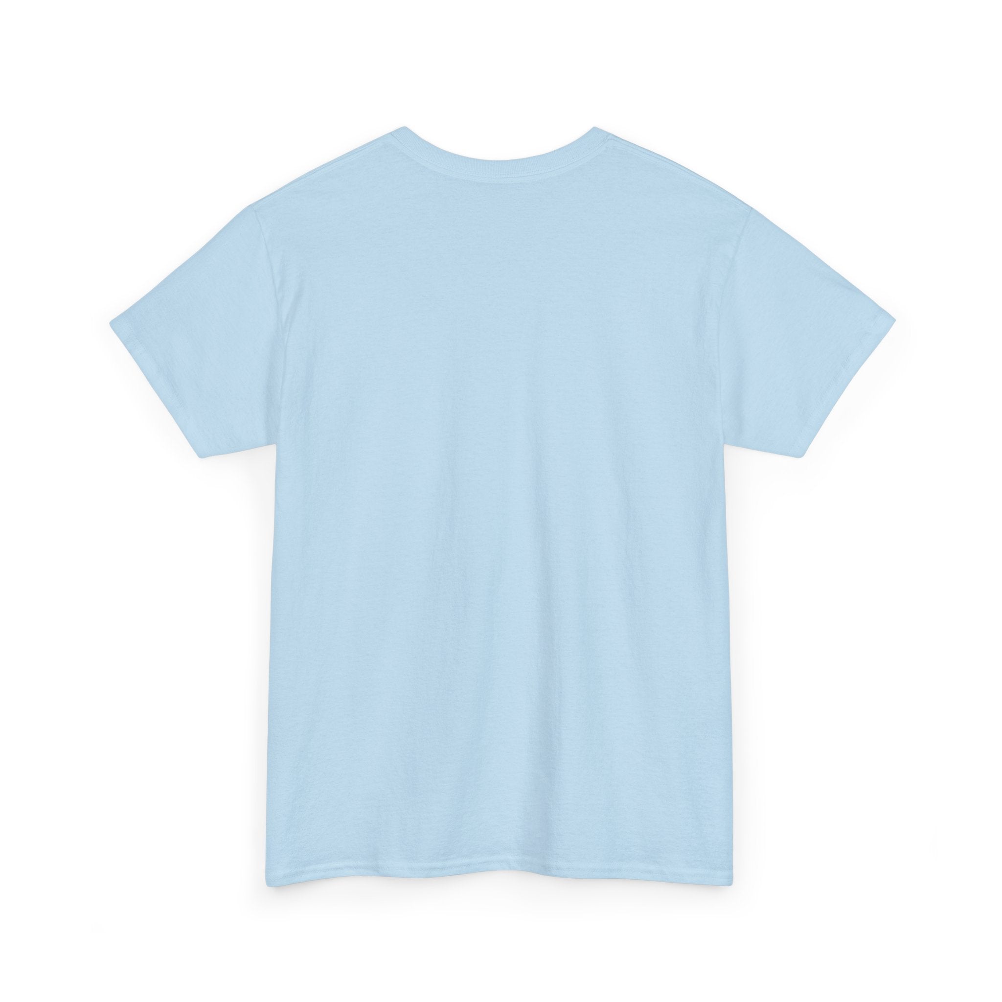 Unisex Adult AYIH Logo - Heavy Cotton Tee