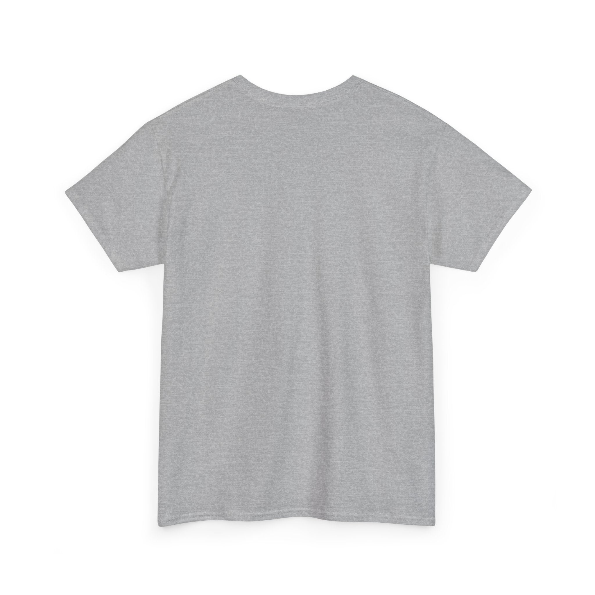 Unisex Adult AYIH Logo - Heavy Cotton Tee