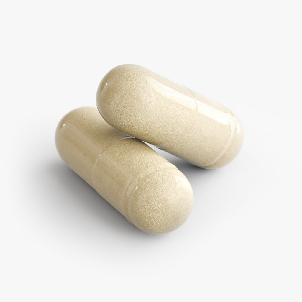 Gut Health