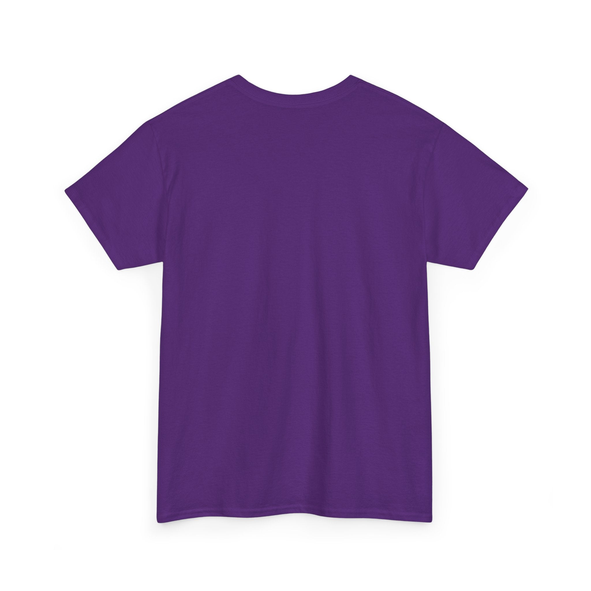 Unisex Adult AYIH Logo - Heavy Cotton Tee