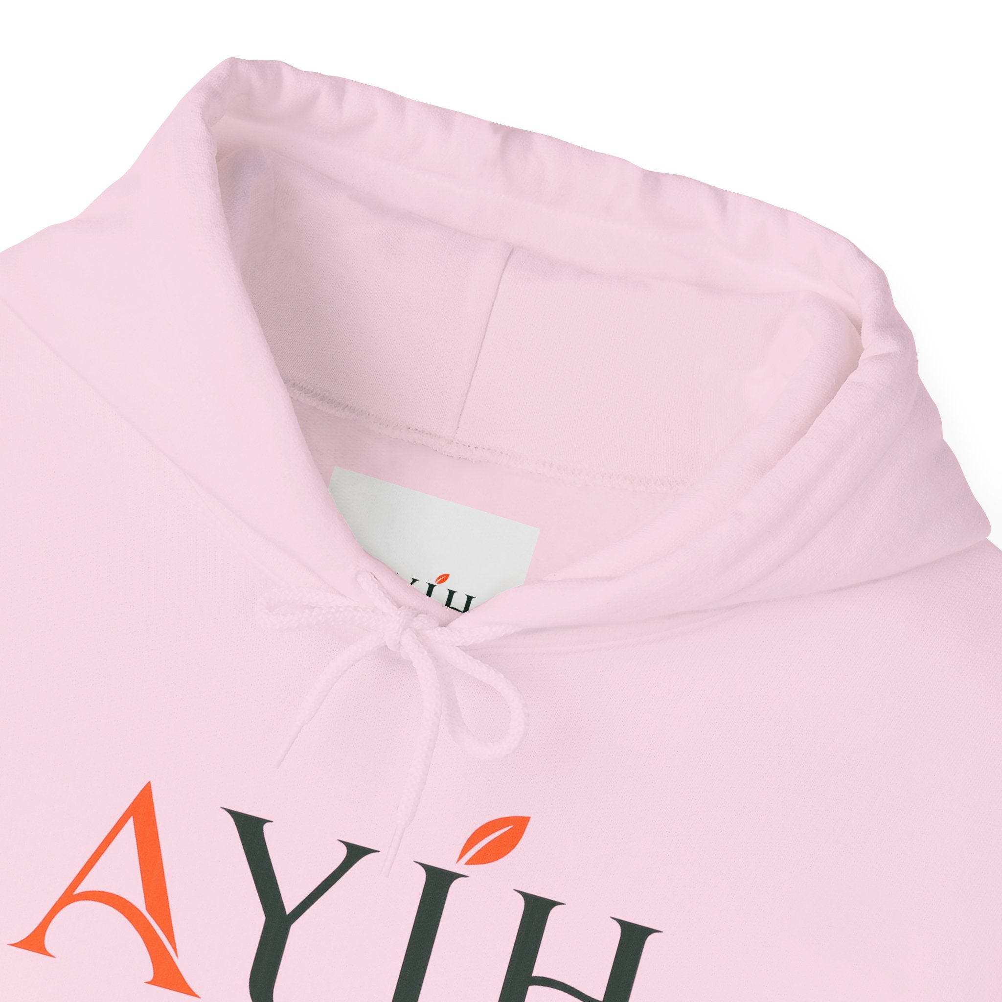 AYIH Logo Hoodie — Feel Better, Live Better Branded Pullover