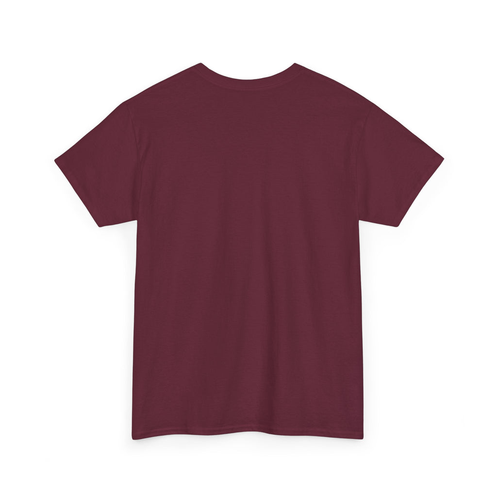 Unisex Adult AYIH Logo - Heavy Cotton Tee