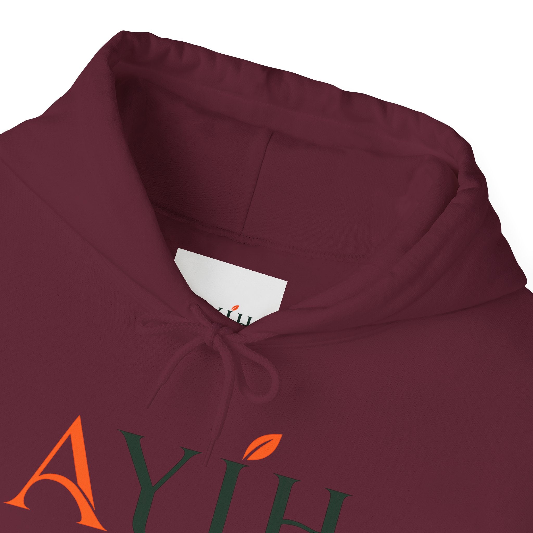 AYIH Logo Hoodie — Feel Better, Live Better Branded Pullover