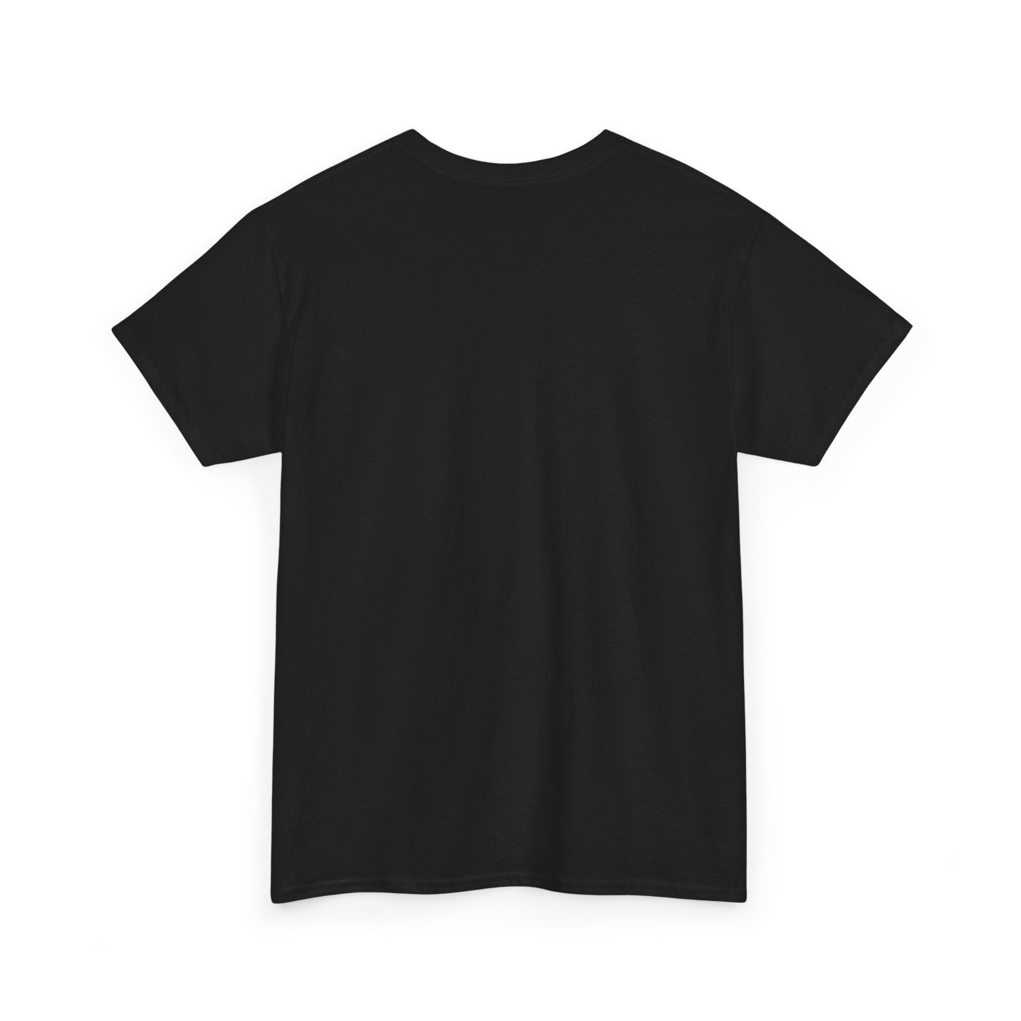 Unisex Adult AYIH Logo - Heavy Cotton Tee
